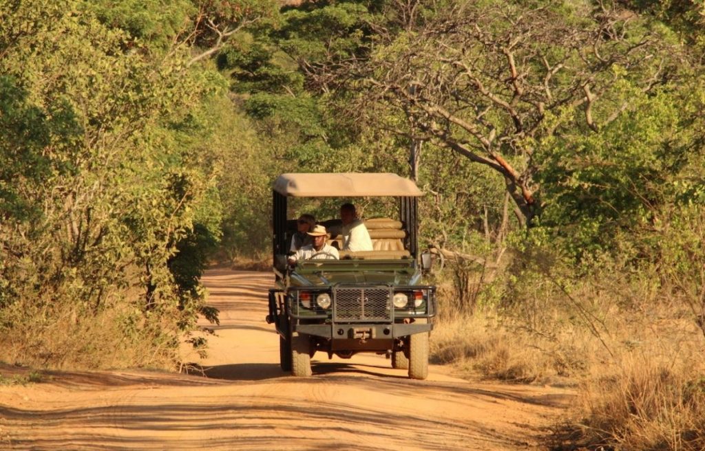 Open game drive vehicle driving towards camera on dirt road with African bush veld either side