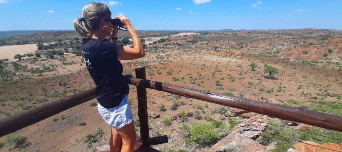 Woman on Safari looking through binoculars out of the Limpopo River Valley