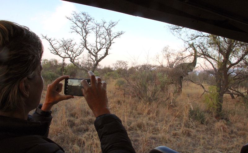 Woman taking picture of elephant from open game drive vehicle